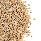 Yellow Pea Stone